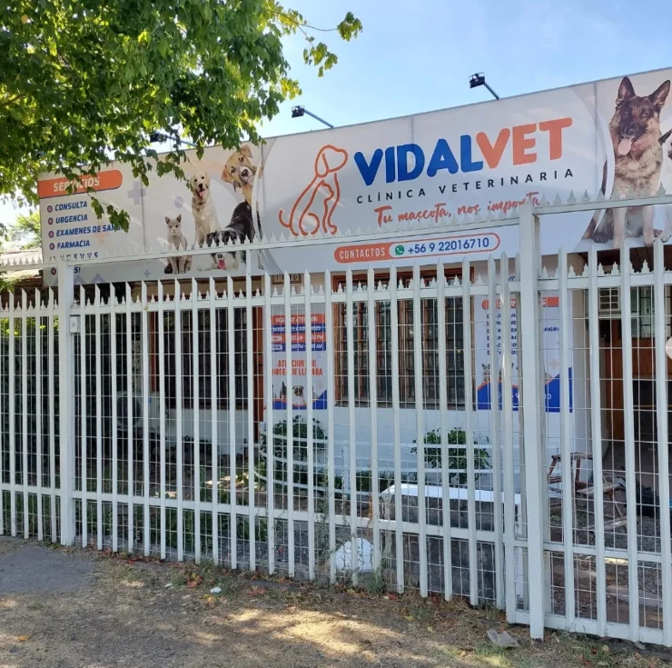 Fachada de VIDALVET Clínica Veterinaria en Av. Carlos Condell, con su letrero azul y naranja tras una reja blanca